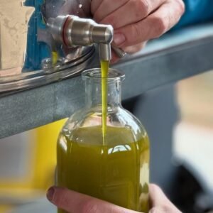 Palestine Olive Oil زيت زيتون فلسطيني