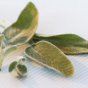 Palestine Dried Sge Papers  أوراق ميرمية مجففة