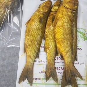 Dried Fish (Fasikh)  ● KG سمك فسيخ ( بوري - مملح بالكركم )